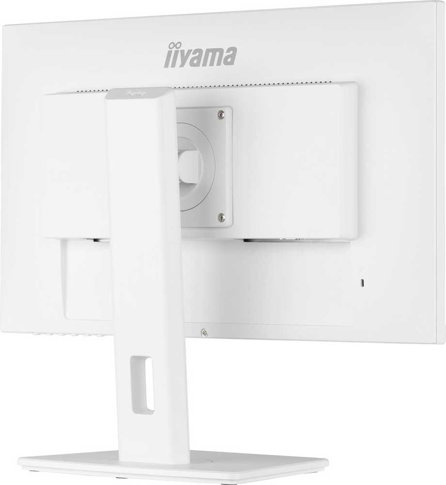 Monitorius Iiyama ProLite PROLITE XUB2492HSU-W5 - 1920 x 1080 FHD - 16:9 - 1000:1 - 250 cd/m² - 4 ms - 1 x DisplayPort (digital), 1 x HDMI (digital), 1 x VGA (analogue) - Baltas