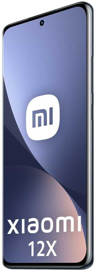 Xiaomi 12X 8GB+128GB, pilkas