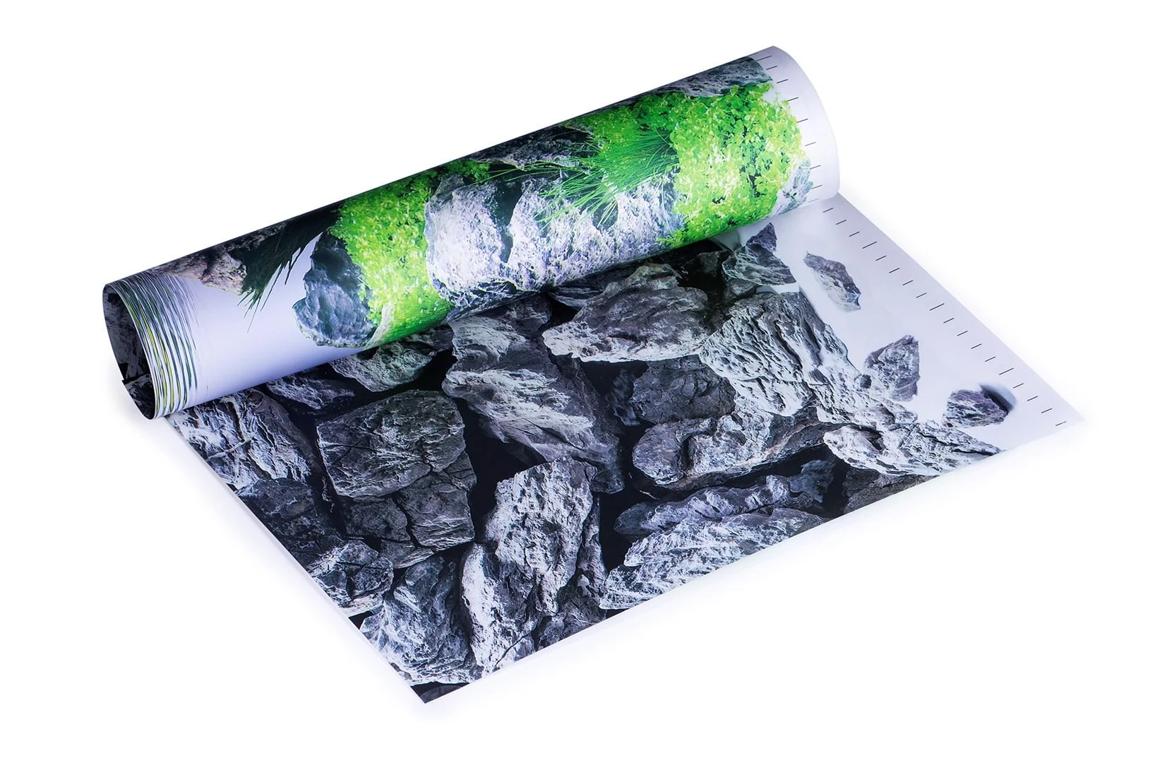 Juwel Fonas 60×30 Poster 4 S