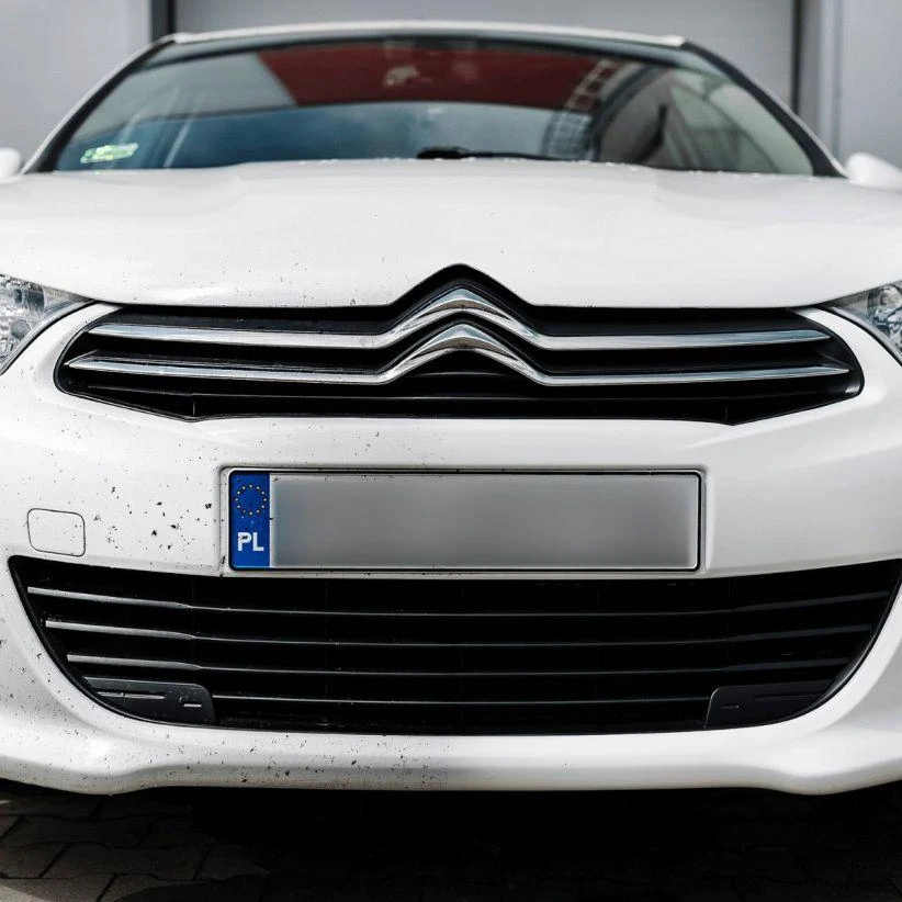 Valymo priemonė nuo vabzdžių K2 Nuta AntiInsect, 1L