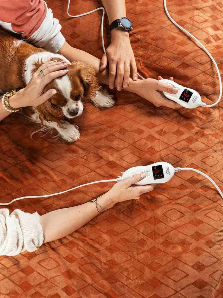 Camry | Elektrinė šildymo antklodė su laikmačiu | CR 7436 | Šildymo lygių skaičius 8 | Asmenų skaičius 2 | Skalbiamas | Nuotolinio valdymo pultas | Itin minkštas flisas/poliesteris | 2x60 W
