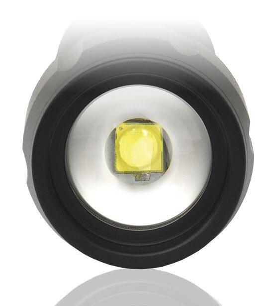 EverActive FL-300+