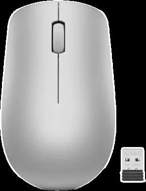 Lenovo | Belaidė pelė | 530 | Optinė pelė | 2.4 GHz Wireless via Nano USB | Platinos pilkas | 1 year(s)