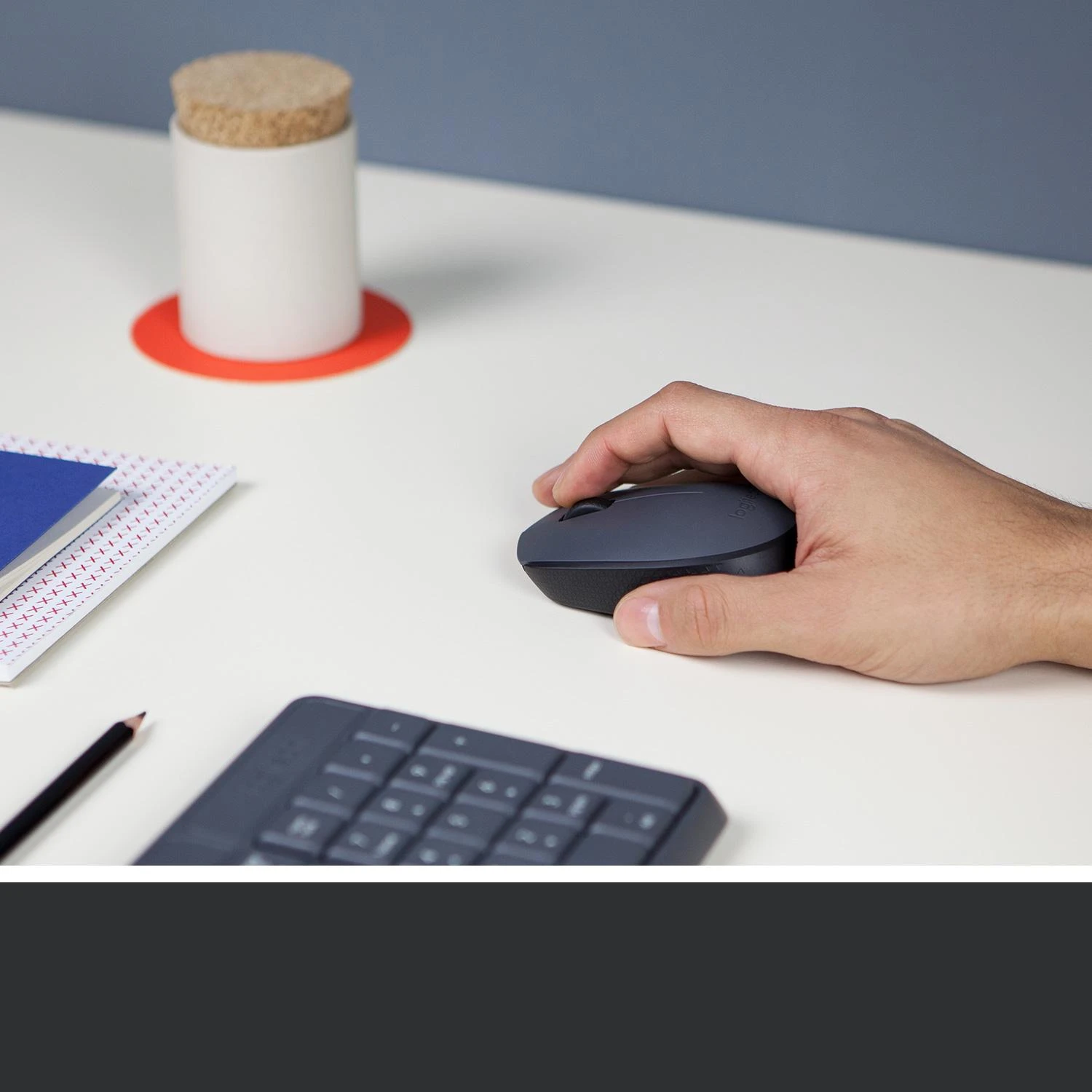 Belaidė pelė Logitech M170