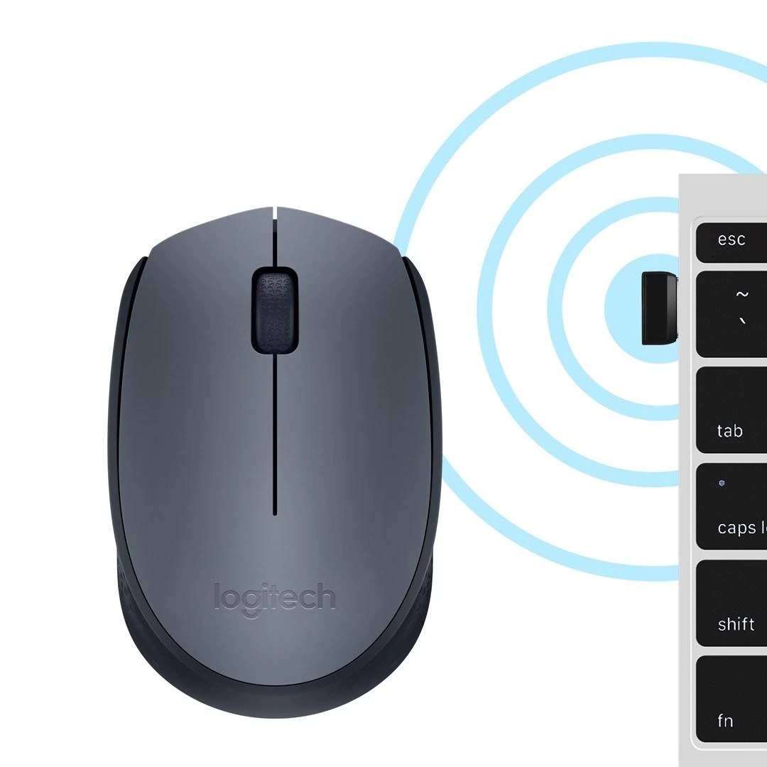 Belaidė pelė Logitech M170