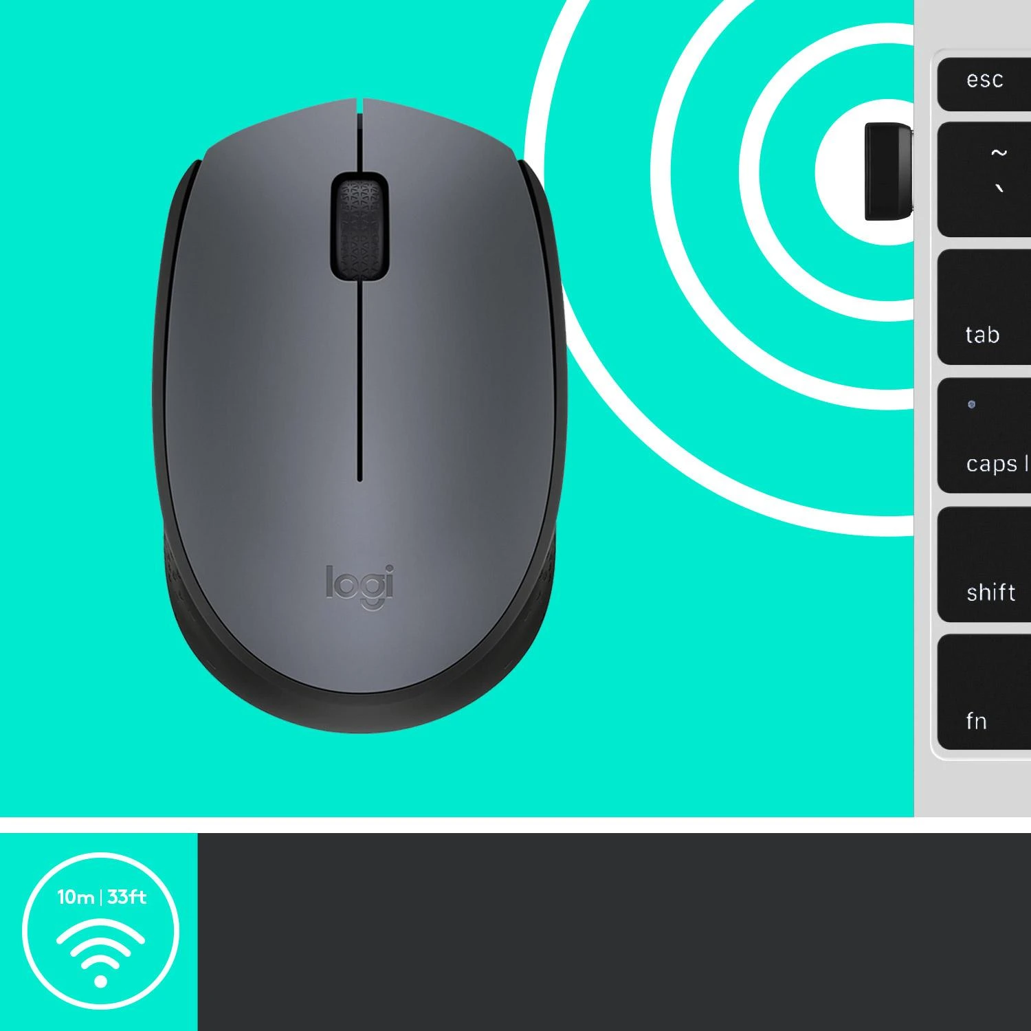 Belaidė pelė Logitech M170