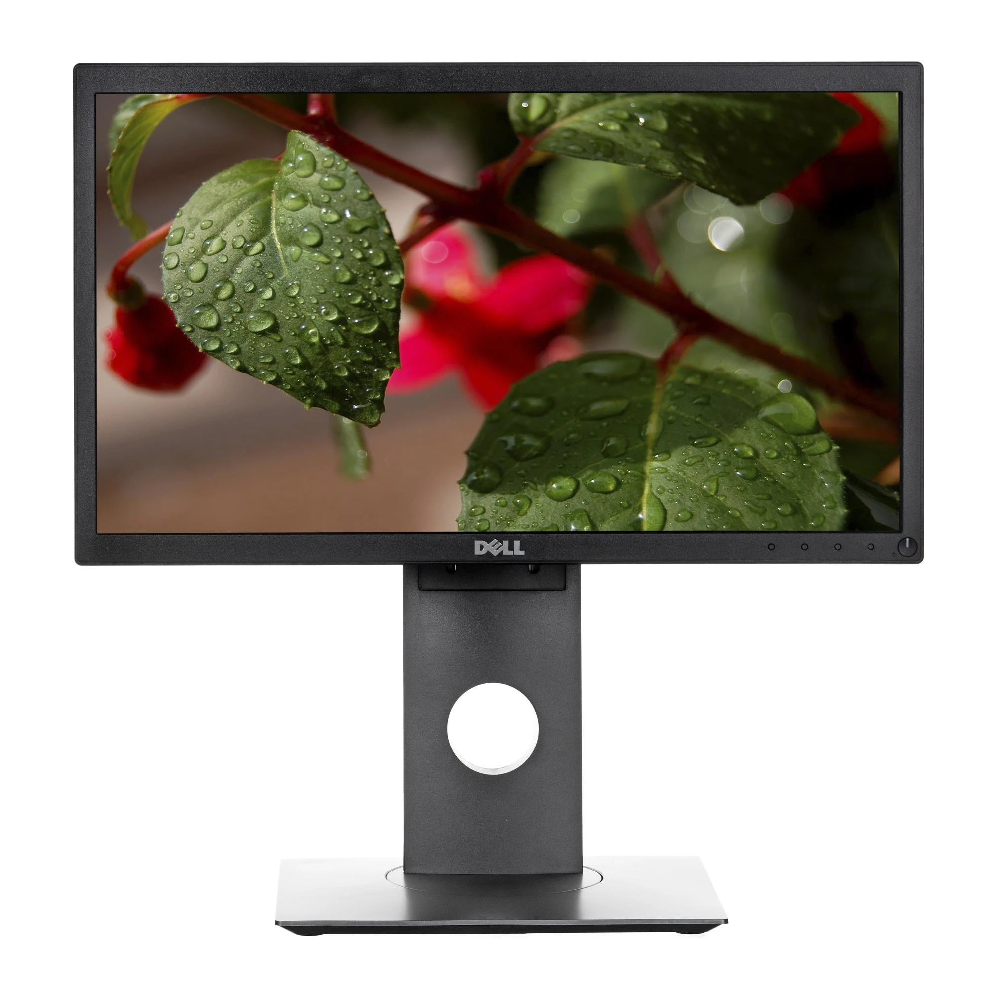 Monitorius Dell P2419H 24 ", IPS, FHD, 1920 x 1080, 16:9, 8 ms, 250 cd/m², Juodas