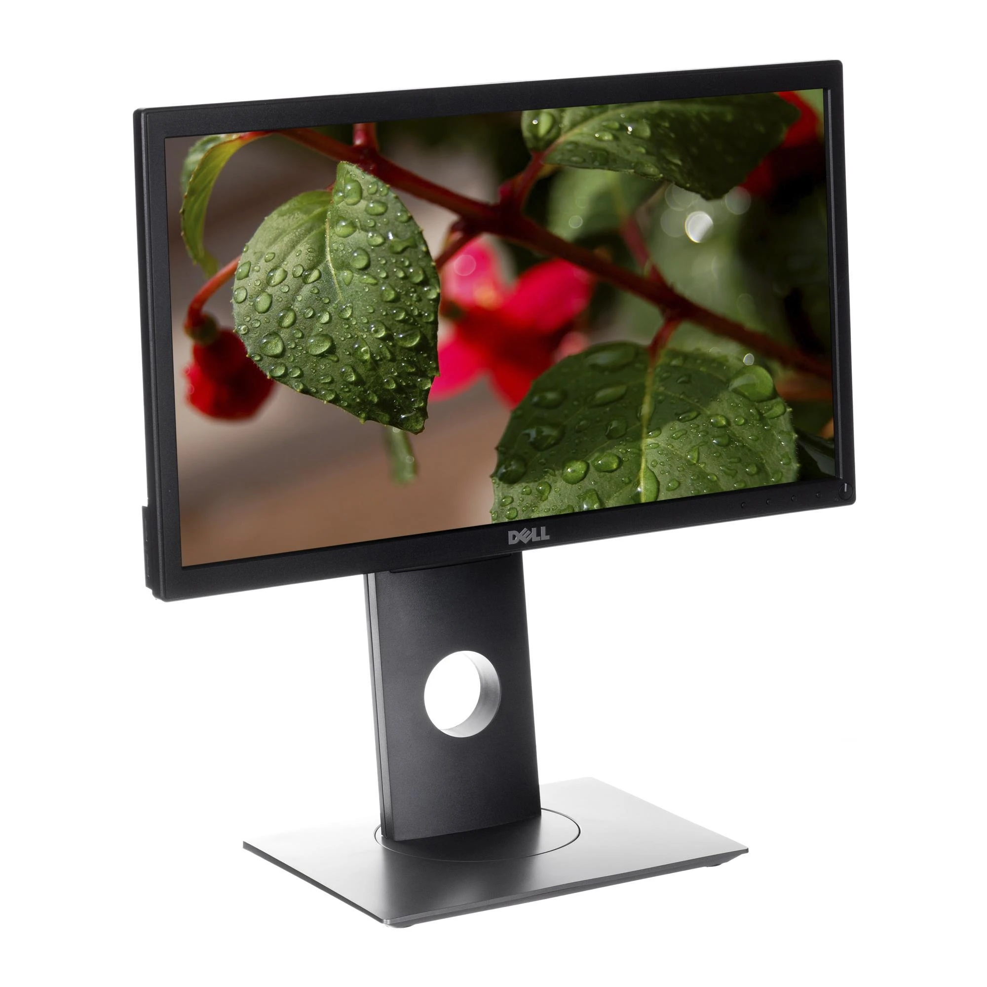 Monitorius Dell P2419H 24 ", IPS, FHD, 1920 x 1080, 16:9, 8 ms, 250 cd/m², Juodas