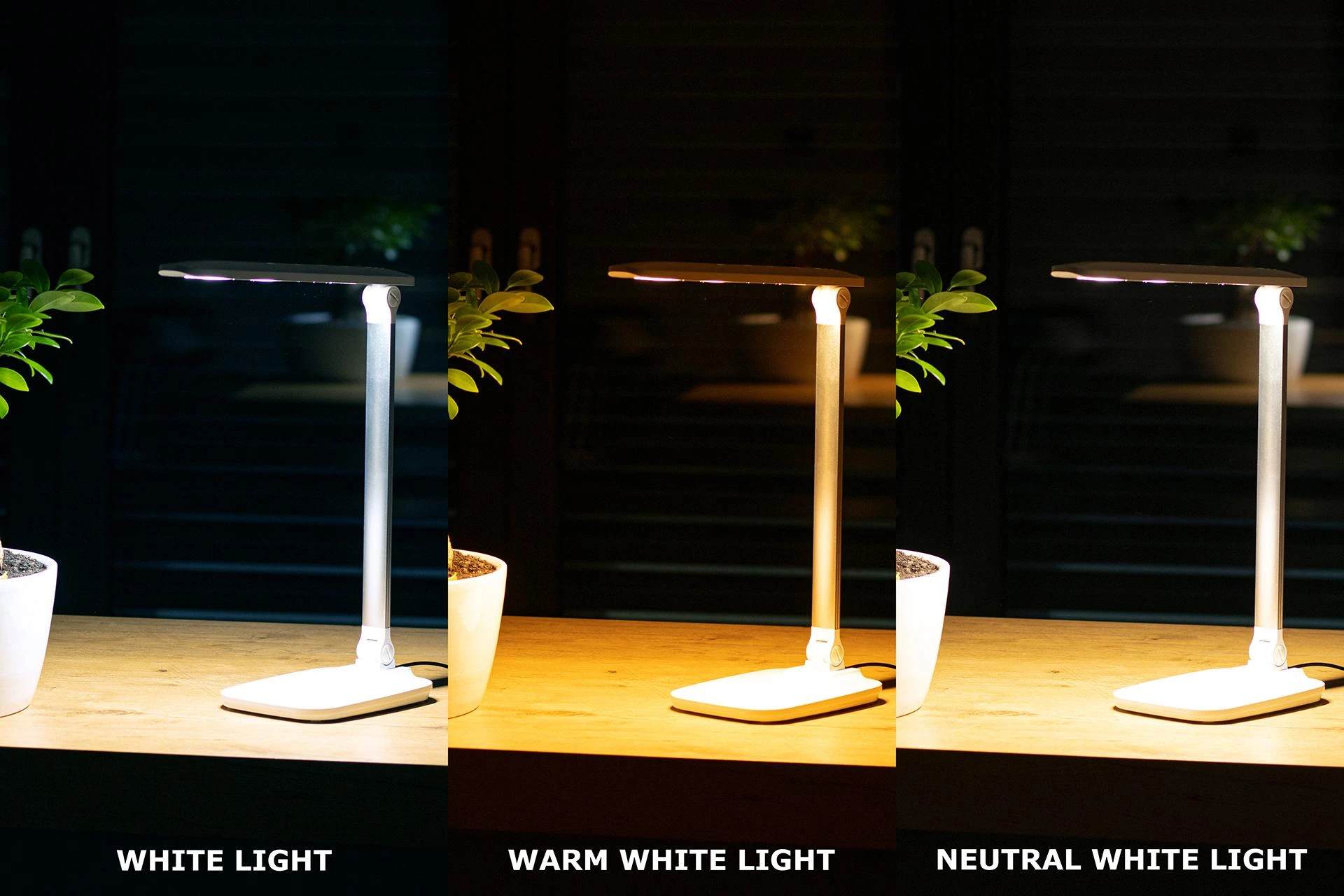 Montis Stalinė lempa wielofunkcyjna LED MT042 table lamp 5.7 W F Baltas