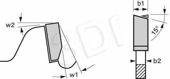 Bosch Disk.pjūkl.diskas Expert 250 x 30 x 2.4 mm 60
