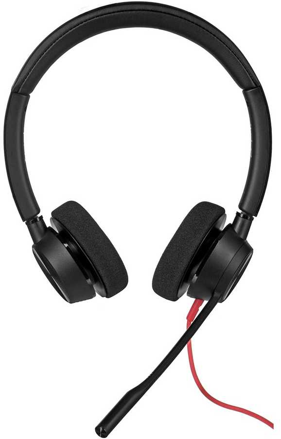 Ausinės Hewlett Packard (HP) Plantronics POLY Blackwire 3320 BW3320 USB-A