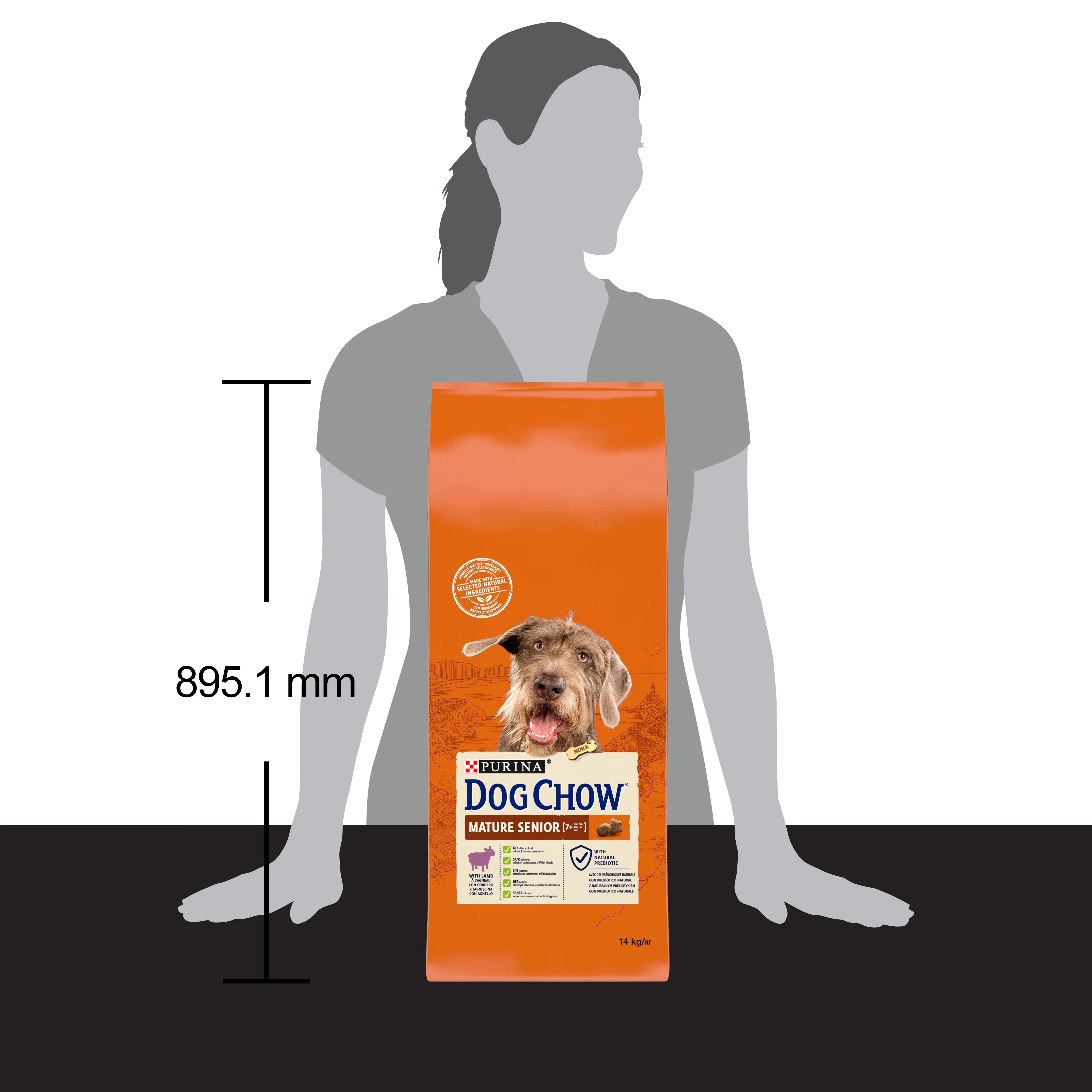 Purina Nestle Sausas Šunų Maistas - Purina Dog Chow Mature Senior Su Ėriena