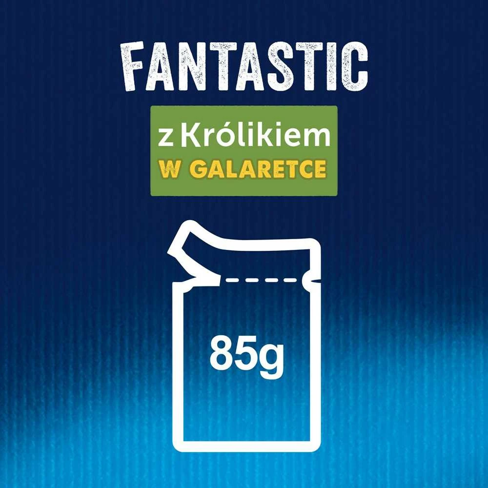 Purina Nestle Drėgnas Kačių Maistas - Purina Felix Fantastic Triušiena Želėje 85g