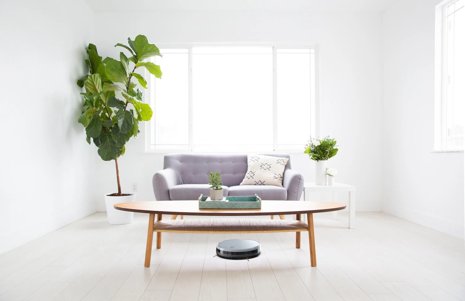 Dulkių siurblys - robotas Mamibot EXVAC660 Wet&Dry, Pilkas