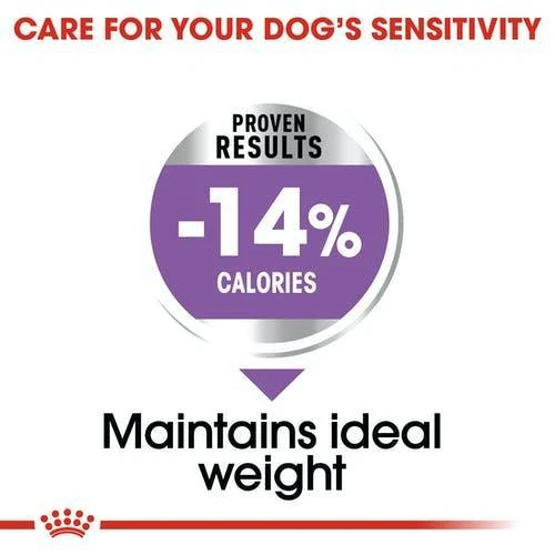 Royal Canin Adult Mini sterilizuotas 1kg