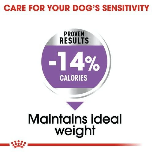 Royal Canin Adult Mini sterilizuota 3kg