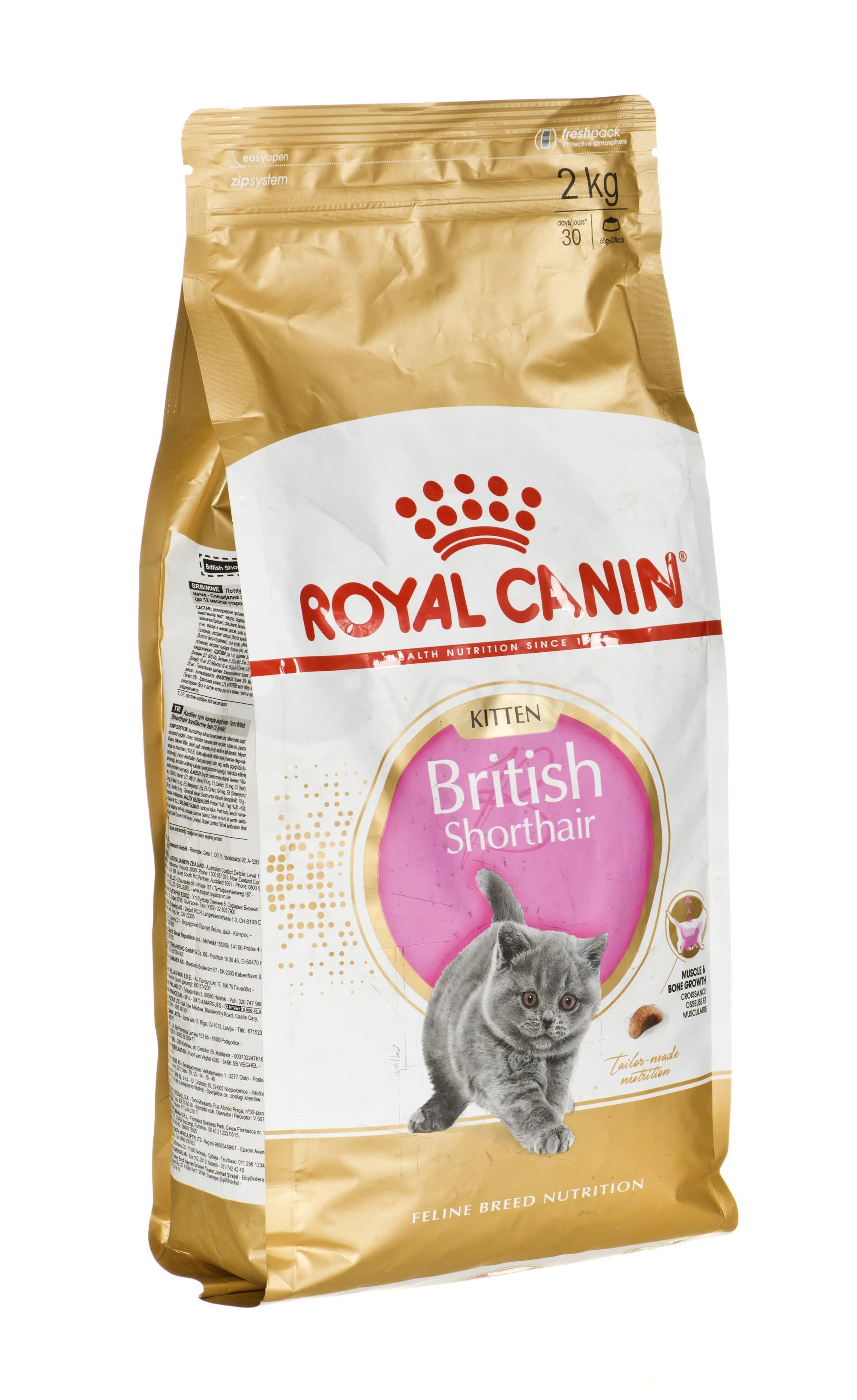Royal Canin britų trumpaplaukis kačiukas 2kg