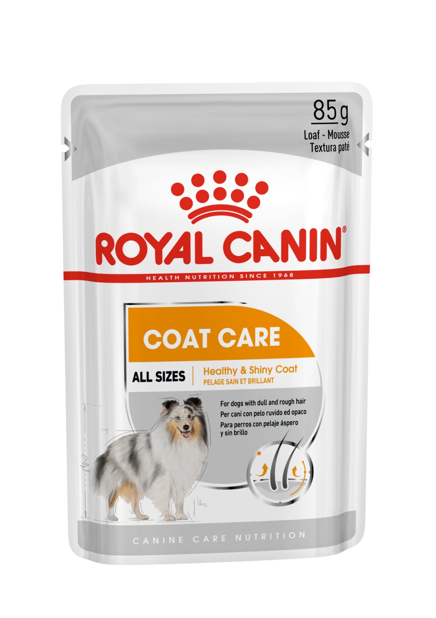 ROYAL CANIN CCN Coat Care Loaf - Wet dog food Pâté 12x85 g