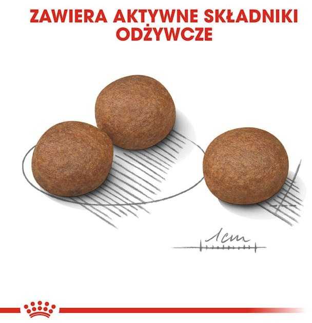Royal Canin CCN Digestive Care Medium šunims 12kg
