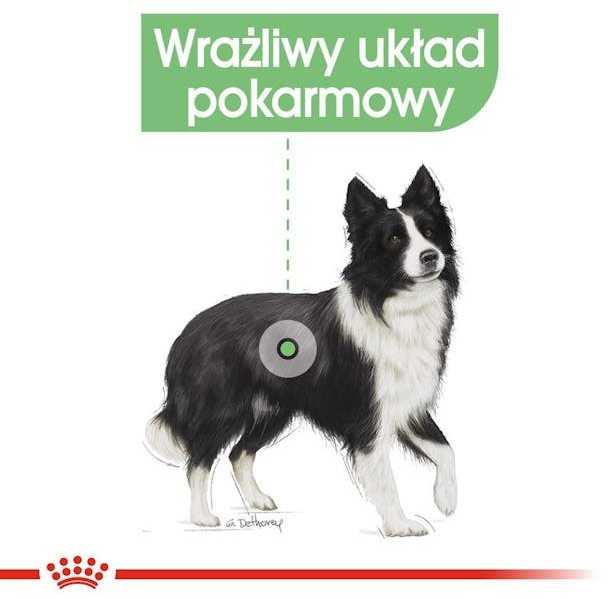 Royal Canin CCN Digestive Care Medium šunims 12kg