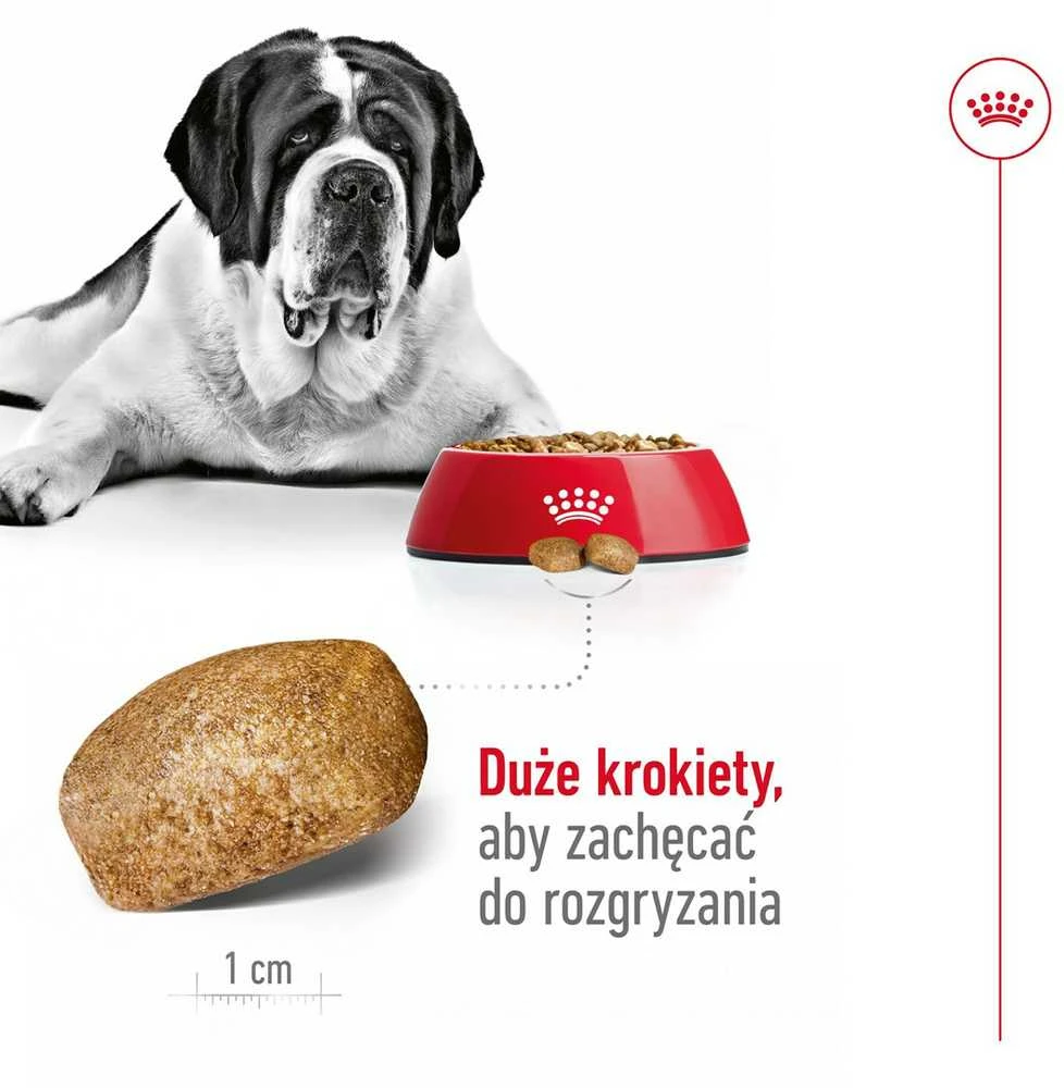 Royal Canin Giant Adult 15kg