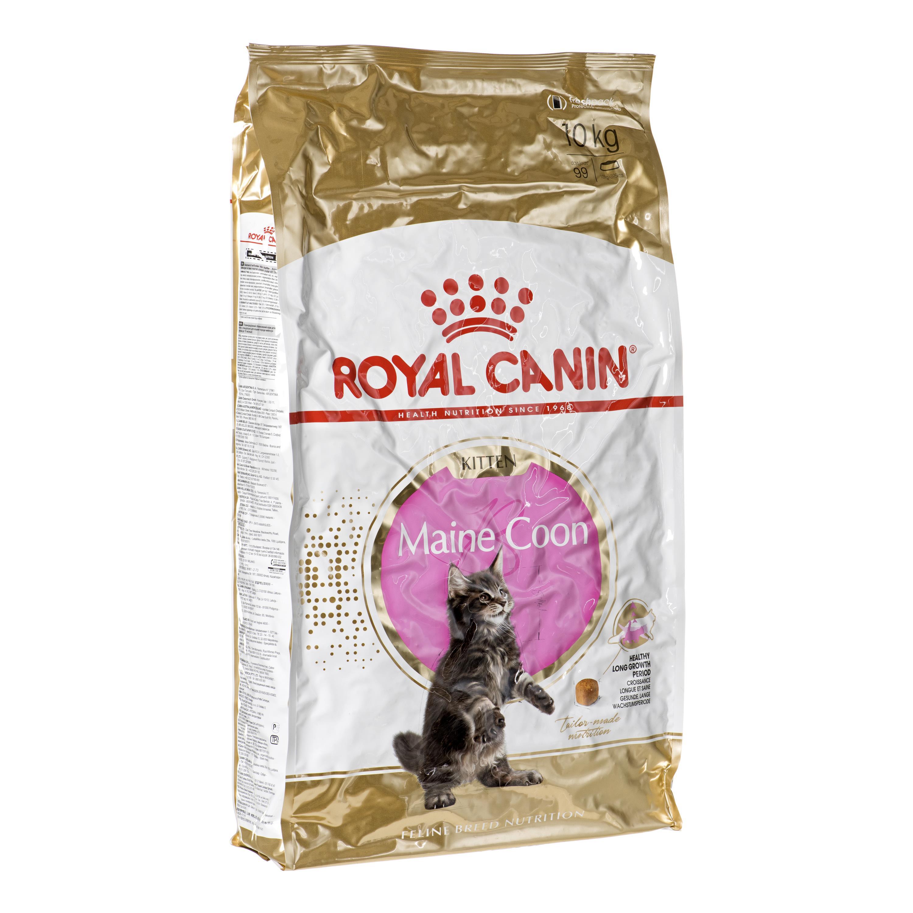 Royal Canin Maine Coon kačiukas 10kg