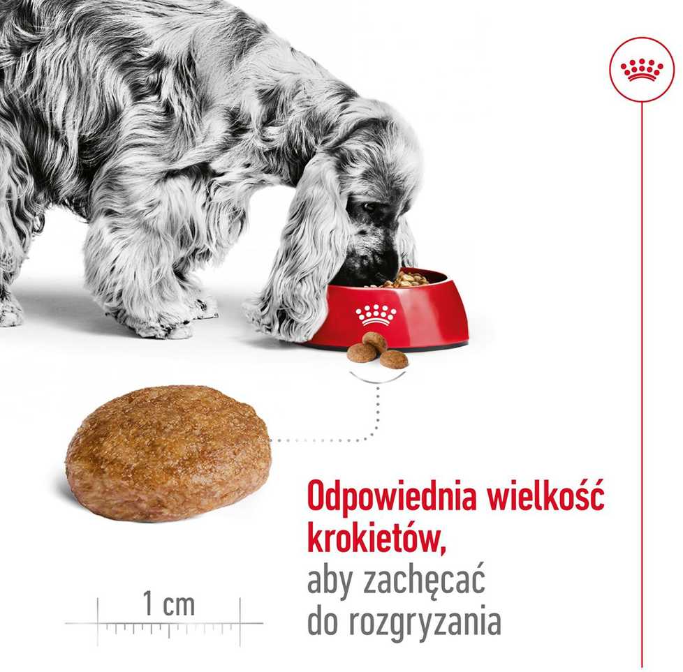 Royal Canin Medium Adult 7+ 15kg