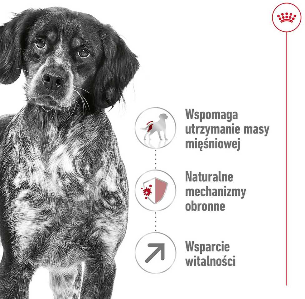 Royal Canin Medium Adult 7+ 15kg