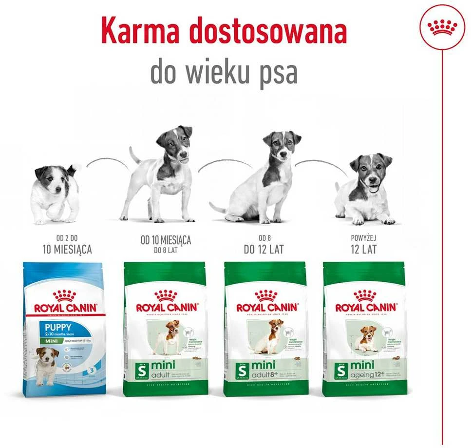 Royal Canin Mini Ageing 12+ 3,5kg