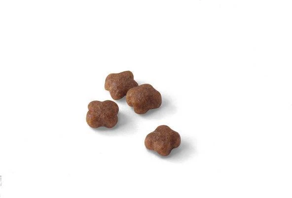Royal Canin Babycat 2kg