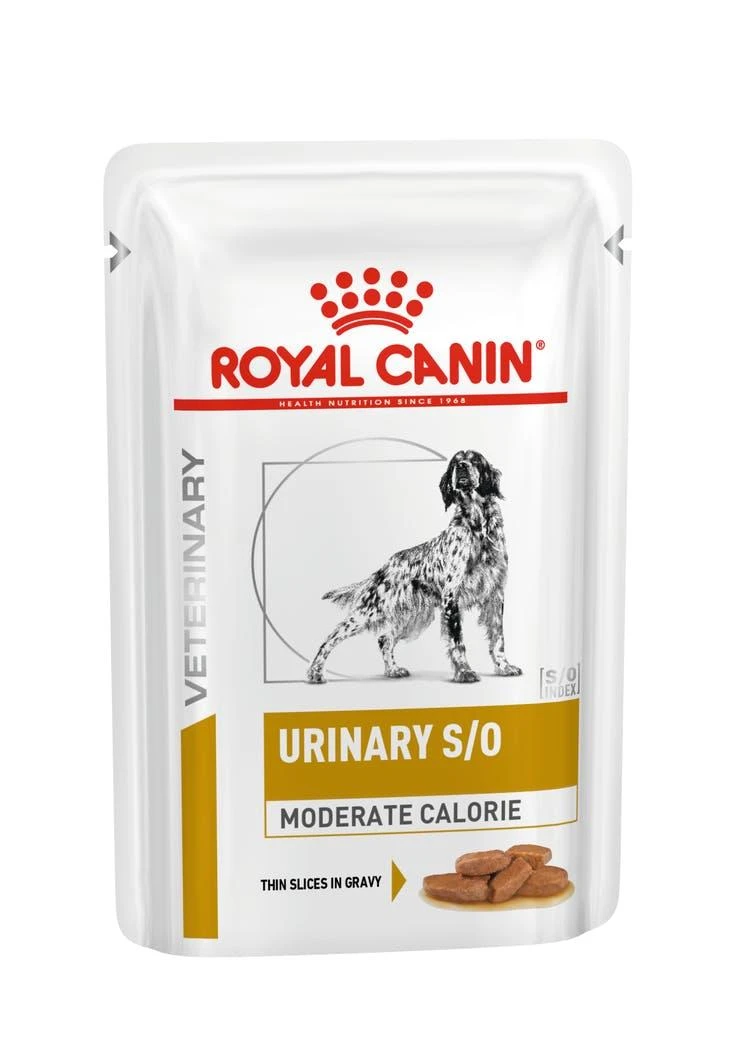 ROYAL CANIN Dog Urinary S/O Moderate Calorie - šlapias šunų maistas - 12 x 100g