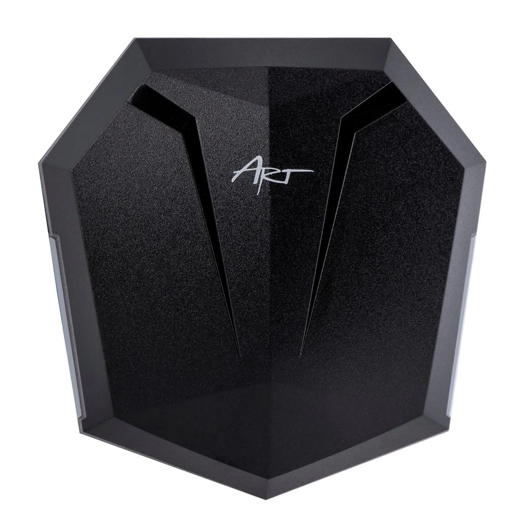 ART BT Ausinės WITH TWS Mikrofonas USB-C