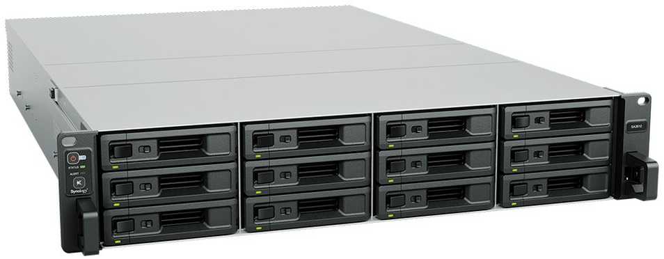 Serveris Synology SA3610