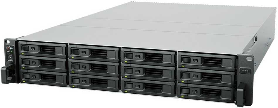 Serveris Synology SA3610