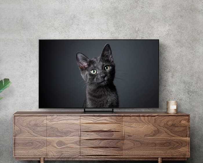 Televizorius SAMSUNG OLED 65 colių QE65S90CAT