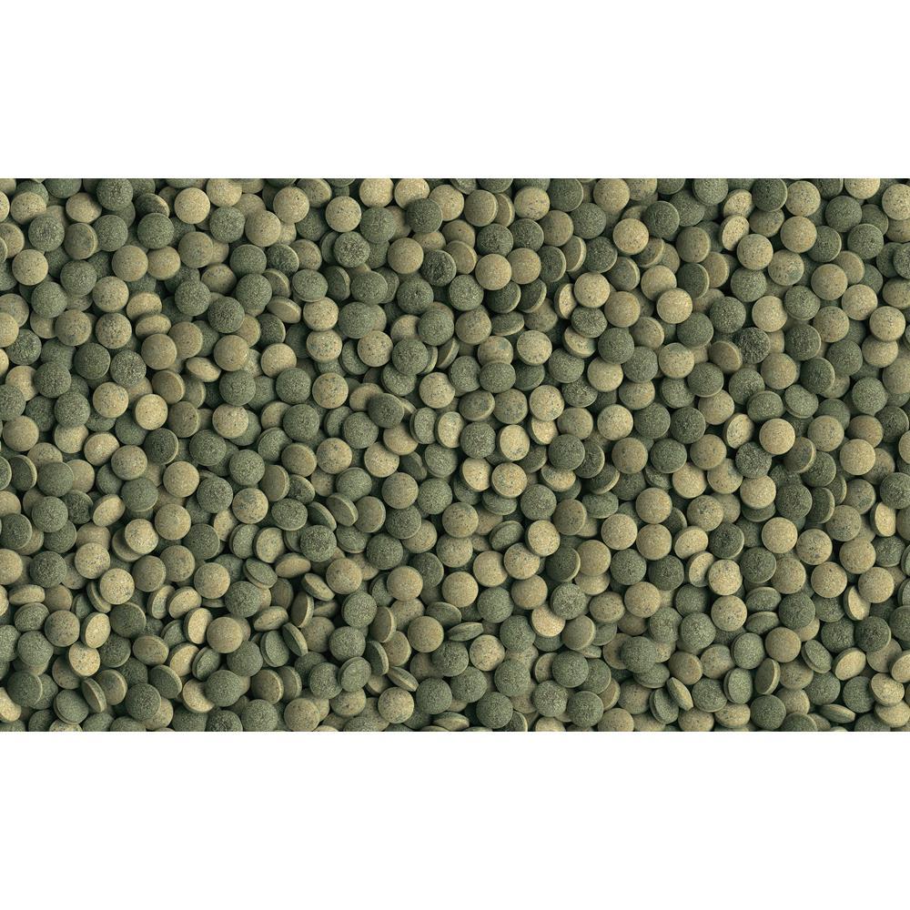 Tetra Pleco Tablets pašaras žolėdėms dugninėms akvariumo žuvims tabletėmis,58vnt