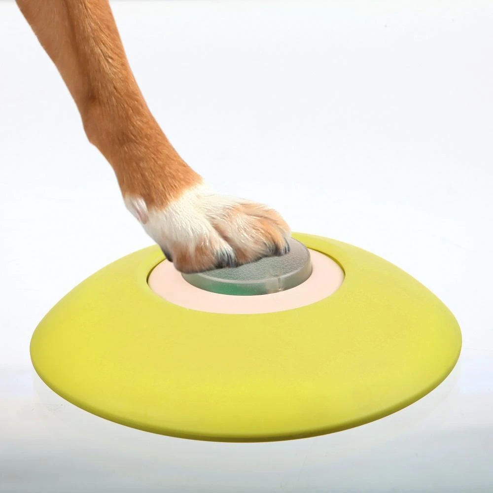 Trixie Dog Game - Atminties lavinimas, 20 × 24 cm