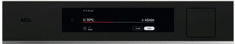 Orkaitė AEG TP9SB831AT