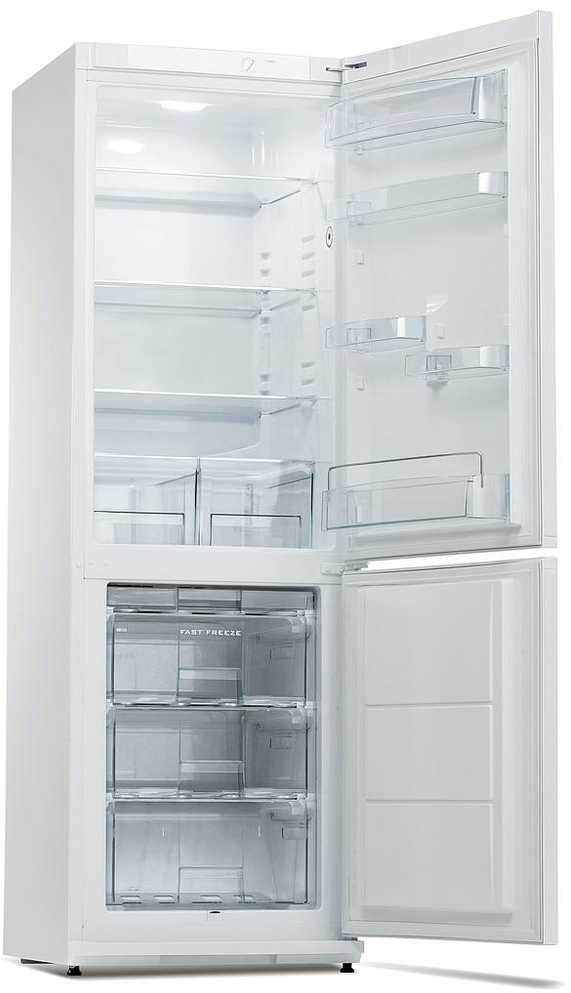 Šaldytuvas Snaigė RF34SM-S0002E0