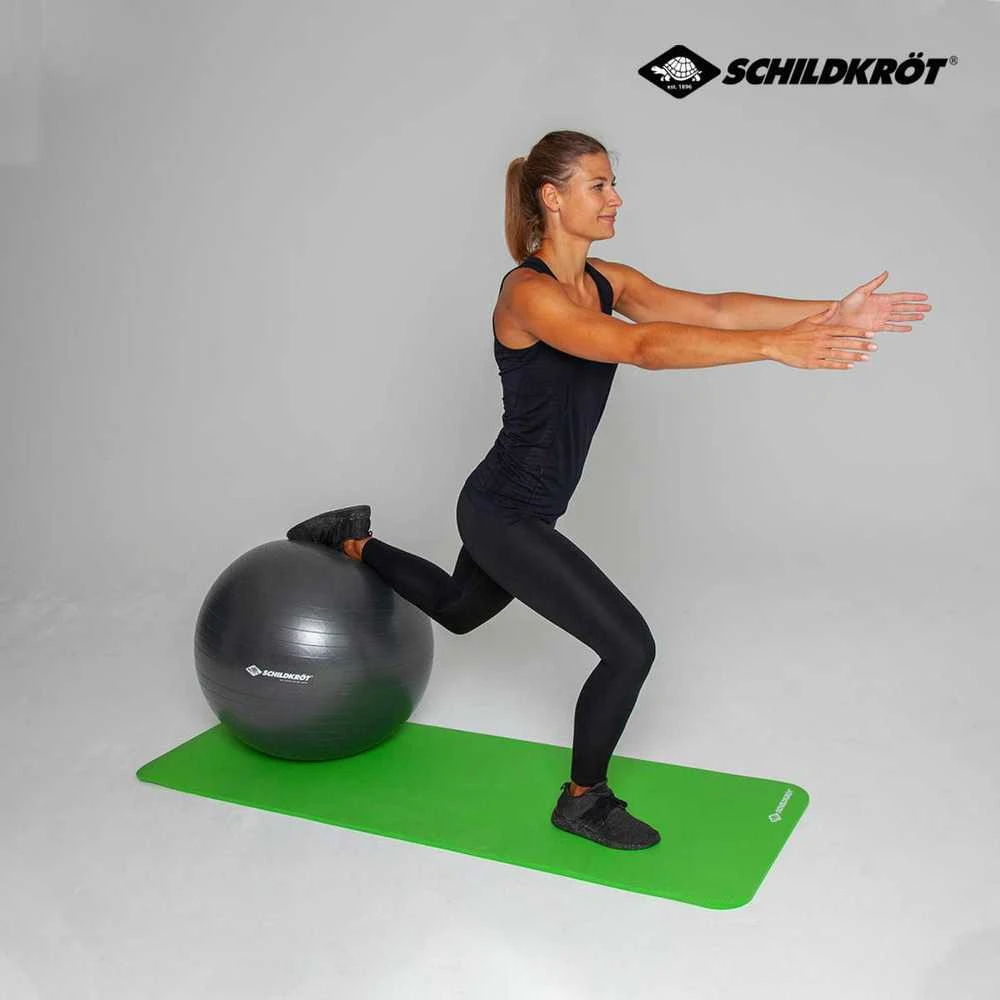 Schildkrot SF FIT GYMNASTIC BALL 75cm