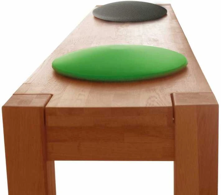 Schildkrot sėdynės pagalvėlė tinka 960037