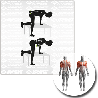 Schildkrot Winylowe SCHILDKRT Vinyl Dumbbells 3,0kg