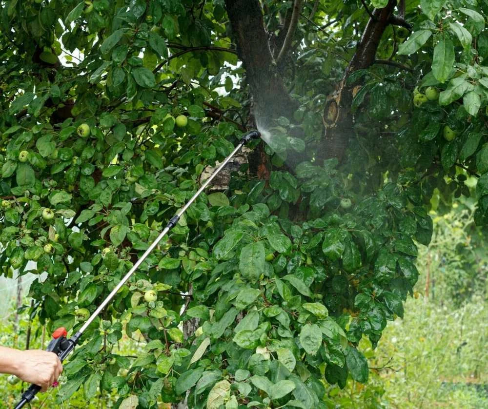 Akumuliatorinis slėginis purkštuvas 5 l
