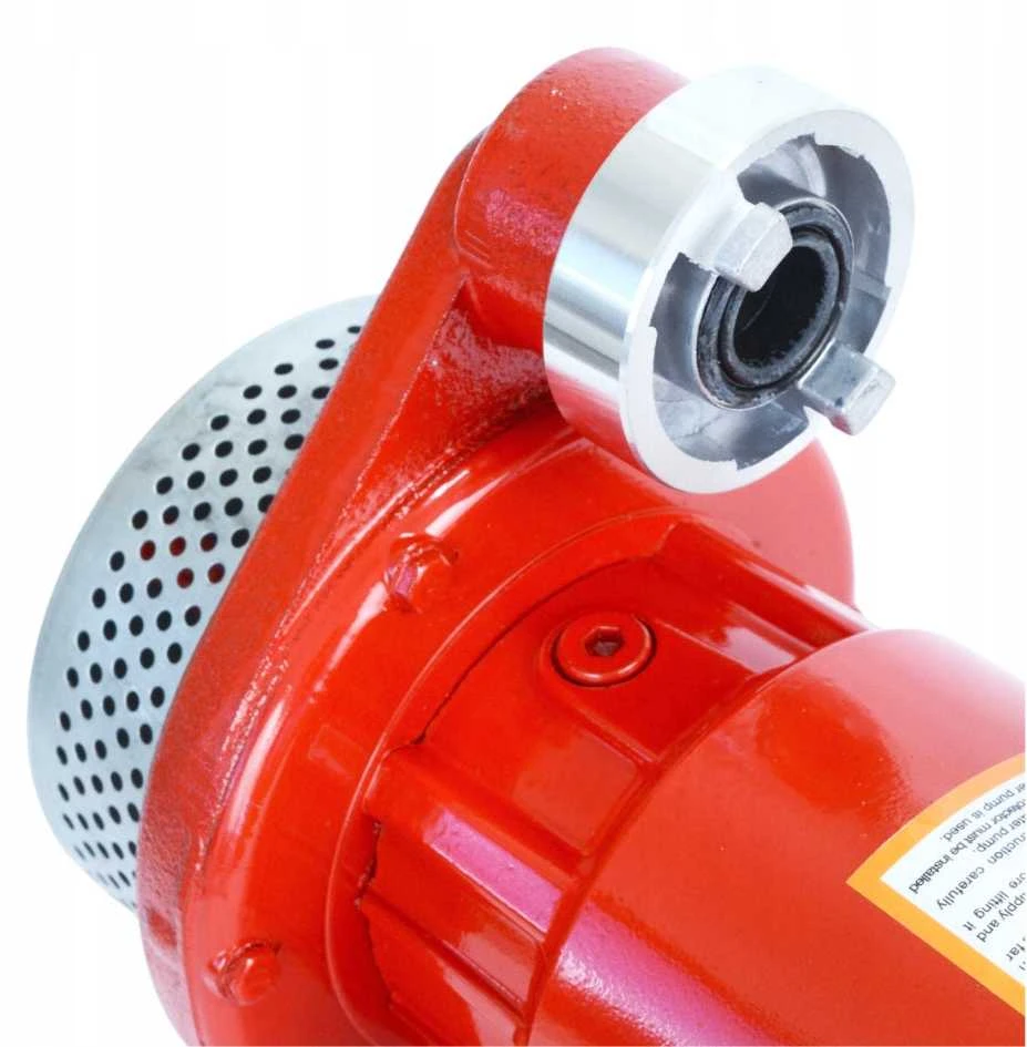 Panardinamas siurblys su filtru ir plūde 370W