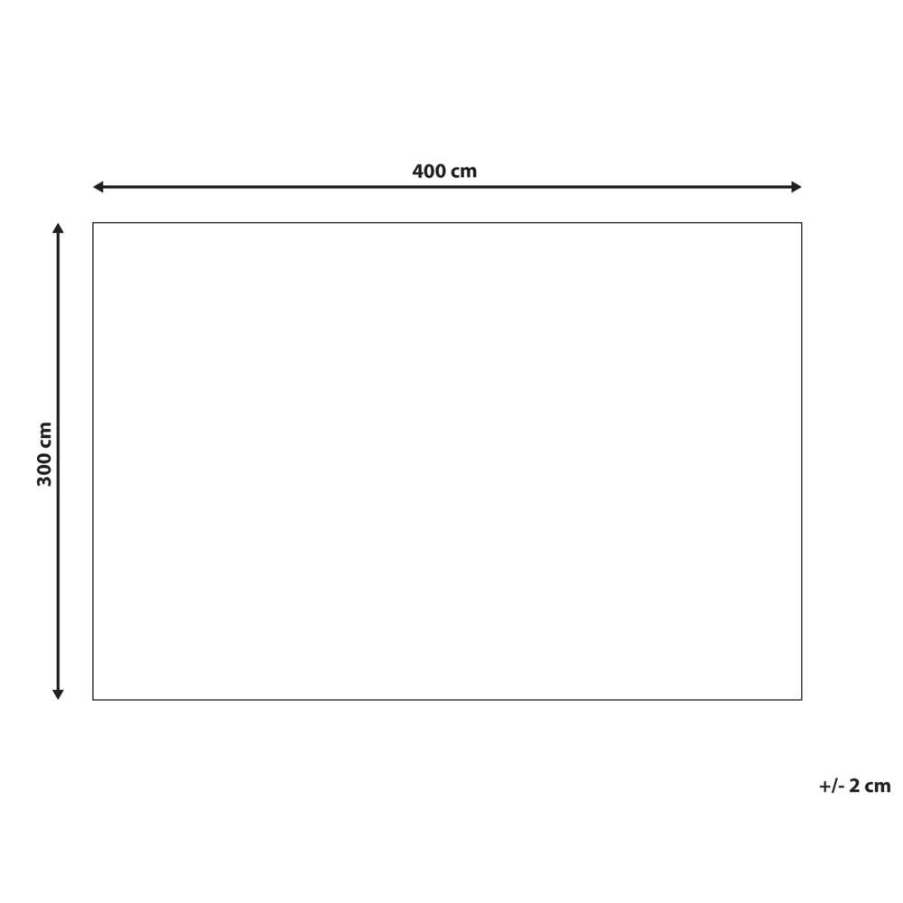 Beliani Kilimas ASPANI kreminės spalvos 300 x 400 cm