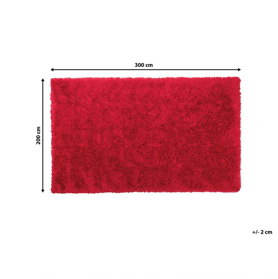 Beliani Raštuotas kilimas shaggy CIDE raudonas 200 x 300 cm