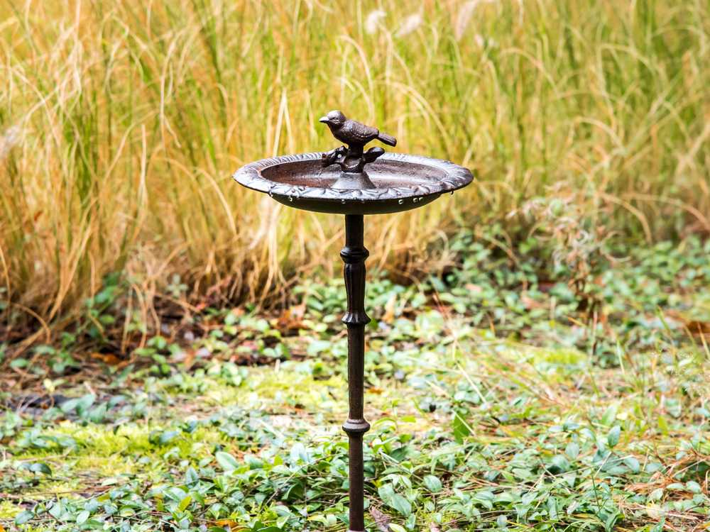Beliani Paukščių girdykla SWALLOW ruda