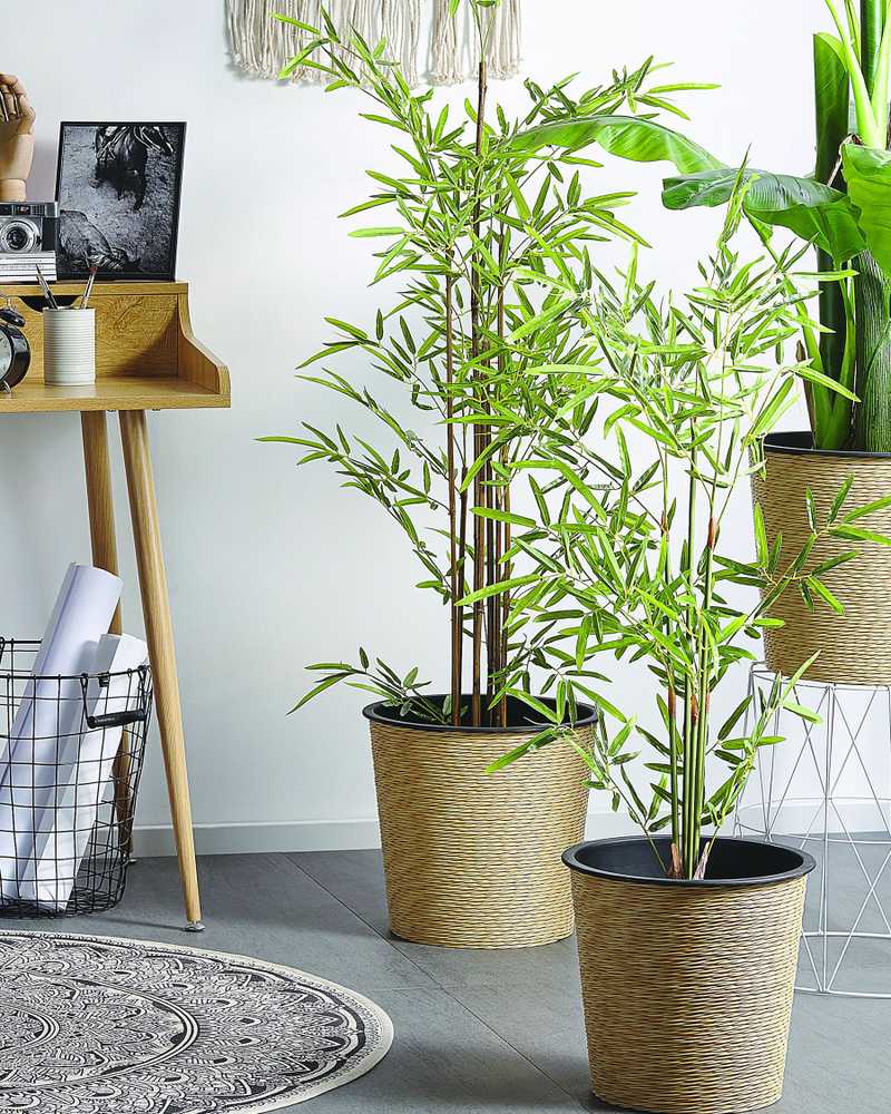 Beliani Dirbtinis augalas BAMBUSA VULGARIS 100 cm žalios spalvos
