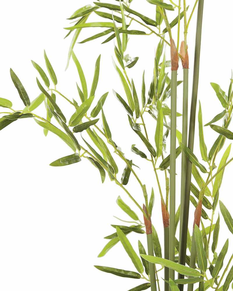Beliani Dirbtinis augalas BAMBUSA VULGARIS 100 cm žalios spalvos