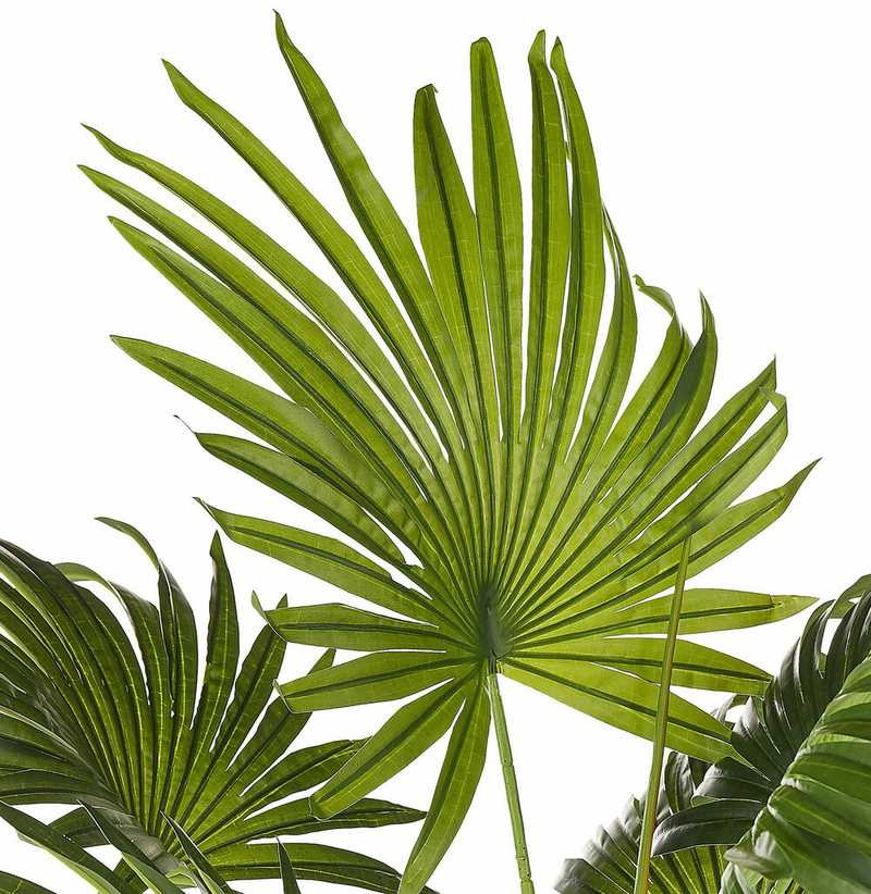 Beliani Dirbtinis augalas FAN PALM 100 cm Žalias